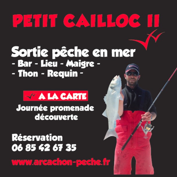PETIT CAILLOC II